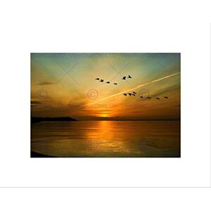 Wee Blue Coo Geese Bird Formation Sunset Lake Art Picture Wall Art Print Wee Blue Coo Geese Bird Formation Sunset Lake Art Picture Wall Art Print