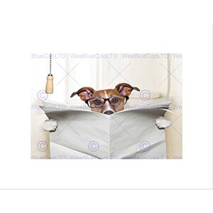 Wee Blue Coo Photo Mock Up Jack Russell Toilet Reading Newspaper Wall Art Print Wee Blue Coo Photo Mock Up Jack Russell Toilet Reading Newspaper Wall Art Print