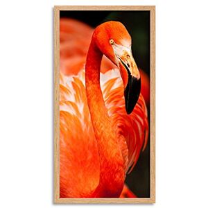 Wee Blue Coo American Flamingo Bird Long Panel Framed Wall Art Print Wee Blue Coo American Flamingo Bird Long Panel Framed Wall Art Print
