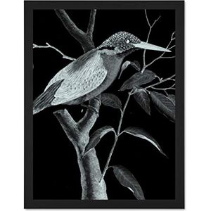 Wee Blue Coo Kingfisher Illustration Night Large Framed Art Print Wall Poster 18x24 inch Wee Blue Coo Kingfisher Illustration Night Large Framed Art Print Wall Poster 18x24 inch