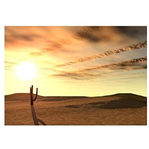 Wee Blue Coo Photo Desert Cactus Shadow Sand Dune Sunset Wall Art Print Wee Blue Coo Photo Desert Cactus Shadow Sand Dune Sunset Wall Art Print