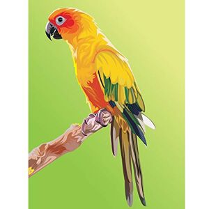 Fine Art Prints Parrot Illustration Colourful Large Wall Art Print Canvas Premium Poster Fine Art Prints Parrot Illustration Colourful Large Wall Art Print Canvas Premium Poster