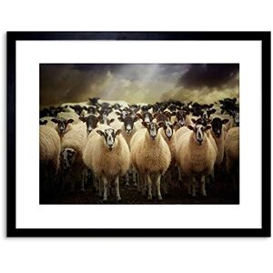 Wee Blue Coo Sheep Flock Farm Animal Photo Framed Wall Art Print Wee Blue Coo Sheep Flock Farm Animal Photo Framed Wall Art Print