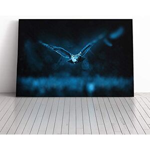 Big Box Art Owl Bird (3) Canvas Print Gallery Wrapped 30mm Frame Wall Art 20x14 inches Ready to Hang Modern Animals Picture Living Room Bedroom Lounge Office Big Box Art Owl Bird (3) Canvas Print Gallery Wrapped 30mm Frame Wall Art 20x14 inches Ready to Hang Modern Animals Picture Living Room Bedroom Lounge Office