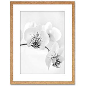 Wee Blue Coo Photo Nature Plant Orchid Flower Black White Framed Wall Art Print Wee Blue Coo Photo Nature Plant Orchid Flower Black White Framed Wall Art Print