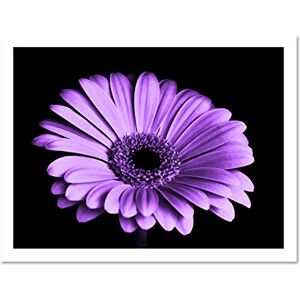 Fine Art Prints Close-up Purple Flower Large Framed Art Print Poster Wall Decor 18x24 inch Fine Art Prints Close-up Purple Flower Large Framed Art Print Poster Wall Decor 18x24 inch