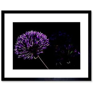 Wee Blue Coo Purple Dandelion Seeds Flower Art Picture Framed Wall Art Print Wee Blue Coo Purple Dandelion Seeds Flower Art Picture Framed Wall Art Print