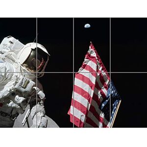 Artery8 Moon Apollo 17 Astronaut Earth Flag Moon Landing Photo XL Giant Panel Poster (8 Sections) Artery8 Moon Apollo 17 Astronaut Earth Flag Moon Landing Photo XL Giant Panel Poster (8 Sections)