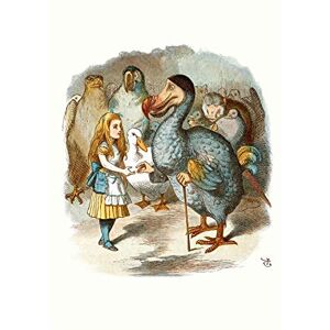 Wee Blue Coo Painting Book Carrol Alice Wonderland Tenniel Dodo Wall Art Print Wee Blue Coo Painting Book Carrol Alice Wonderland Tenniel Dodo Wall Art Print