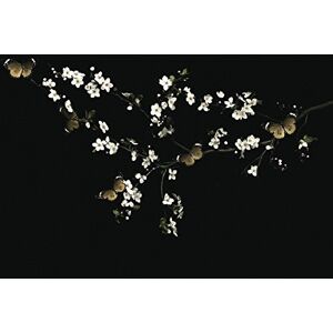 Pyramid Ian Winstanley Blossom and Butterflies Canvas Print, Polyester, Multi-Colour, 40 x 50 cm Pyramid Ian Winstanley Blossom and Butterflies Canvas Print, Polyester, Multi-Colour, 40 x 50 cm