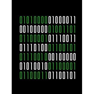 Artery8 Binary PC Master Race Nerd Joke Humour Quote Unframed Wall Art Print Poster Home Decor Premium Artery8 Binary PC Master Race Nerd Joke Humour Quote Unframed Wall Art Print Poster Home Decor Premium