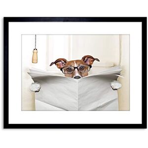 Wee Blue Coo Photo Mock Jack Russell Toilet Reading Newspaper Art Print Framed Poster Wall Decor 9x7 inch Wee Blue Coo Photo Mock Jack Russell Toilet Reading Newspaper Art Print Framed Poster Wall Decor 9x7 inch
