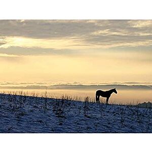 Fine Art Prints Kreiger Horse Silhouette Gehrenberg Landscape Photo Unframed Wall Art Print Poster Home Decor Premium Fine Art Prints Kreiger Horse Silhouette Gehrenberg Landscape Photo Unframed Wall Art Print Poster Home Decor Premium