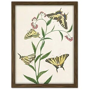 Artery8 Paul Gabriel Four Butterflies On Flowers Painting Artwork Framed Wall Art Print 18X24 Inch Artery8 Paul Gabriel Four Butterflies On Flowers Painting Artwork Framed Wall Art Print 18X24 Inch