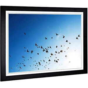 Big Box Art Framed Print of Pigeons Birds Flying Design Wall Art Picture Home Decor for Kitchen, Living, Dining Room, Lounge, Bedroom, Hallway, Office, Black, A2 / 24.5x18 Inch / 62x45cm Big Box Art Framed Print of Pigeons Birds Flying Design Wall Art Picture Home Decor for Kitchen, Living, Dining Room, Lounge, Bedroom, Hallway, Office, Black, A2 / 24.5x18 Inch / 62x45cm