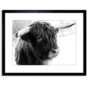 Wee Blue Coo Photo Composition Animal Livestock Highland Cow Bull Framed Wall Art Print Wee Blue Coo Photo Composition Animal Livestock Highland Cow Bull Framed Wall Art Print