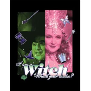 Pyramid The Wizard Of Oz (I Am A Witch) Collector Print (Framed) 30cm x 40cm, One Size Pyramid The Wizard Of Oz (I Am A Witch) Collector Print (Framed) 30cm x 40cm, One Size
