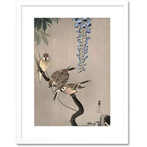 Wee Blue Coo Painting Japan Nature Sparrow Bird Flower Shoson Ohara Framed Wall Art Print Wee Blue Coo Painting Japan Nature Sparrow Bird Flower Shoson Ohara Framed Wall Art Print