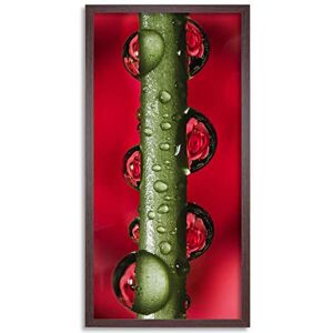 Wee Blue Coo Green Stem Dew Droplets Long Panel Framed Wall Art Print Wee Blue Coo Green Stem Dew Droplets Long Panel Framed Wall Art Print