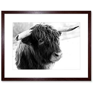 Wee Blue Coo Photo Composition Animal Livestock Highland Cow Bull Framed Wall Art Print Wee Blue Coo Photo Composition Animal Livestock Highland Cow Bull Framed Wall Art Print