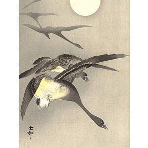 Artery8 Ohara Koson Geese At Full Moon Japanese Painting Large Wall Art Poster Print Thick Paper 18X24 Inch Artery8 Ohara Koson Geese At Full Moon Japanese Painting Large Wall Art Poster Print Thick Paper 18X24 Inch