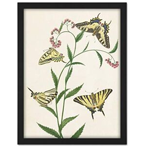 Artery8 Paul Gabriel Four Butterflies On Flowers Painting Artwork Framed Wall Art Print 18X24 Inch Artery8 Paul Gabriel Four Butterflies On Flowers Painting Artwork Framed Wall Art Print 18X24 Inch