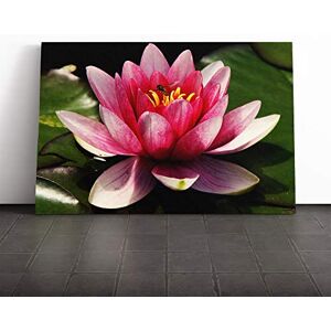 Big Box Art Canvas Print Wall Art Flower Pink Water Lily (4) Mounted and Stretched Box Frame Picture Home Decor for Kitchen, Living, Dining Room, Bedroom, Hallway, Multi-Colour, 20x14 Inch Big Box Art Canvas Print Wall Art Flower Pink Water Lily (4) Mounted and Stretched Box Frame Picture Home Decor for Kitchen, Living, Dining Room, Bedroom, Hallway, Multi-Colour, 20x14 Inch