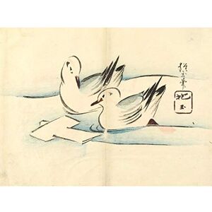 Fine Art Prints Seagulls 1830s Yamada Hogyoku Premium Wall Art Canvas Print 18X24 Inch Fine Art Prints Seagulls 1830s Yamada Hogyoku Premium Wall Art Canvas Print 18X24 Inch