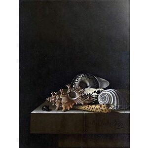 Artery8 Coorte Shells On A Stone Plinth Painting Premium Wall Art Canvas Print 18X24 Inch Artery8 Coorte Shells On A Stone Plinth Painting Premium Wall Art Canvas Print 18X24 Inch