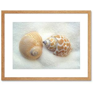 Wee Blue Coo Photo Seashells Beach Sand Summer Framed Wall Art Print Wee Blue Coo Photo Seashells Beach Sand Summer Framed Wall Art Print