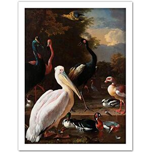 Artery8 Hondecoeter Pelican Birds Pool Floating Feather Artwork Framed Wall Art Print 18X24 Inch Artery8 Hondecoeter Pelican Birds Pool Floating Feather Artwork Framed Wall Art Print 18X24 Inch