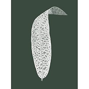 Wee Blue Coo Hunter Green Leaf Unframed Wall Art Print Poster Home Decor Premium Wee Blue Coo Hunter Green Leaf Unframed Wall Art Print Poster Home Decor Premium