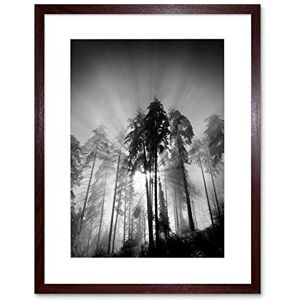 Wee Blue Coo Trees Light Fog Black White Art Framed Wall Art Print Wee Blue Coo Trees Light Fog Black White Art Framed Wall Art Print