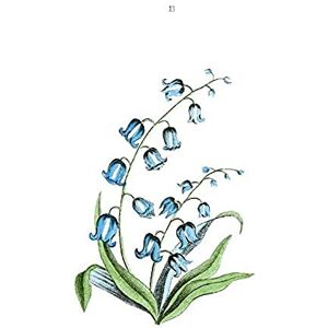 Fine Art Prints Flower Bluebells Illustration Art Print Canvas Premium Wall Decor Poster Fine Art Prints Flower Bluebells Illustration Art Print Canvas Premium Wall Decor Poster