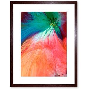 Wee Blue Coo Poppy Petal Colour Tint Artwork Framed Wall Art Print 12X16 Inch Wee Blue Coo Poppy Petal Colour Tint Artwork Framed Wall Art Print 12X16 Inch