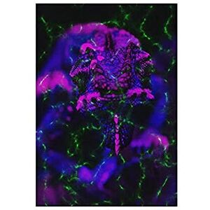 Wee Blue Coo Photo Dark Gothic Abstract Aurora Neon 12x16 Wall Art Print Wee Blue Coo Photo Dark Gothic Abstract Aurora Neon 12x16 Wall Art Print