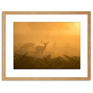 Wee Blue Coo ANIMAL DEER MIST STAG FRAMED ART PRINT POSTER PICTURE WALL F97X12335 Wee Blue Coo ANIMAL DEER MIST STAG FRAMED ART PRINT POSTER PICTURE WALL F97X12335