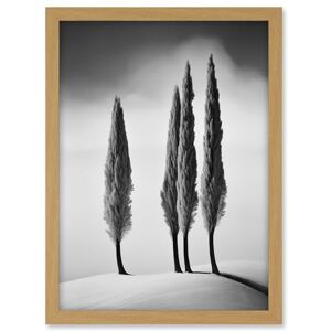 Artery8 Group of Cypress Trees on Snowy Hill Minimalist Black and White Photograph Cypresses in Foggy Winter Landscape Artwork Framed A3 Wall Art Print Artery8 Group of Cypress Trees on Snowy Hill Minimalist Black and White Photograph Cypresses in Foggy Winter Landscape Artwork Framed A3 Wall Art Print