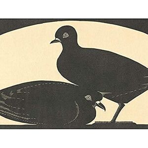 Artery8 Samuel Jessurun De Mesquita Two Doves Drawing Unframed Wall Art Print Poster Home Decor Premium Artery8 Samuel Jessurun De Mesquita Two Doves Drawing Unframed Wall Art Print Poster Home Decor Premium