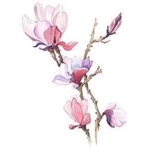 Wee Blue Coo Flower Magnolia Watercolour Art Print Poster Wall Decor 12X16 Inch Wee Blue Coo Flower Magnolia Watercolour Art Print Poster Wall Decor 12X16 Inch