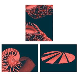 Artery8 Marine Coral Pink Ocean Seashells Nautilus Set Of 3 Unframed Wall Art Prints Bathroom Bedroom Aesthetic Cephalopod 12X16 Inch Artery8 Marine Coral Pink Ocean Seashells Nautilus Set Of 3 Unframed Wall Art Prints Bathroom Bedroom Aesthetic Cephalopod 12X16 Inch