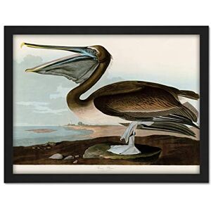 Artery8 Audubon Birds Pelican Brown Painting Artwork Framed Wall Art Print 18X24 Inch Artery8 Audubon Birds Pelican Brown Painting Artwork Framed Wall Art Print 18X24 Inch