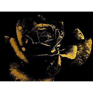 Artery8 Gold Effect Yellow Black Rose Close Up Flora Unframed Art Print Poster Wall Decor 12x16 inch Artery8 Gold Effect Yellow Black Rose Close Up Flora Unframed Art Print Poster Wall Decor 12x16 inch