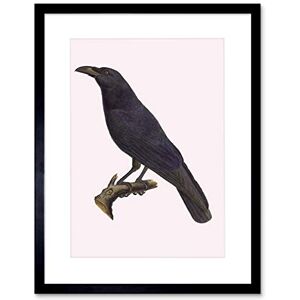 Wee Blue Coo PAINTING BOOK PAGE BIRDS FRAUENHOLZ COMMON RAVEN FRAMED ART PRINT B12X12875 Wee Blue Coo PAINTING BOOK PAGE BIRDS FRAUENHOLZ COMMON RAVEN FRAMED ART PRINT B12X12875