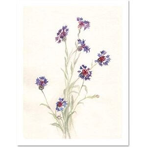 Wee Blue Coo Flower Cornflowers Watercolour Large Framed Art Print Wall Poster 18x24 inch Wee Blue Coo Flower Cornflowers Watercolour Large Framed Art Print Wall Poster 18x24 inch