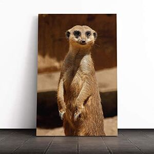 Big Box Art Canvas Print Wall Art Meerkat (2) Mounted and Stretched Box Frame Picture Home Decor for Kitchen, Living, Dining Room, Bedroom, Hallway, Multi-Colour, 30x20 Inch Big Box Art Canvas Print Wall Art Meerkat (2) Mounted and Stretched Box Frame Picture Home Decor for Kitchen, Living, Dining Room, Bedroom, Hallway, Multi-Colour, 30x20 Inch