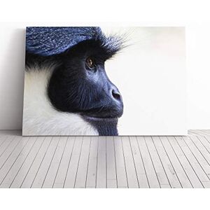 Big Box Art Colobus Monkey Canvas Print Gallery Wrapped 30mm Frame Wall Art 24x16 inches Ready to Hang Modern Animals Picture Living Room Bedroom Lounge Office Big Box Art Colobus Monkey Canvas Print Gallery Wrapped 30mm Frame Wall Art 24x16 inches Ready to Hang Modern Animals Picture Living Room Bedroom Lounge Office