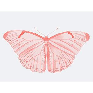 Wee Blue Coo Living Coral Butterfly Large Wall Art Print Canvas Premium Poster Wee Blue Coo Living Coral Butterfly Large Wall Art Print Canvas Premium Poster