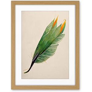 Wee Blue Coo Tropical Bird Of Paradise Leaf Botanical Illustration Artwork Framed Wall Art Print 18X24 Inch Wee Blue Coo Tropical Bird Of Paradise Leaf Botanical Illustration Artwork Framed Wall Art Print 18X24 Inch