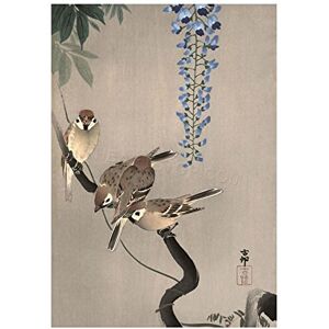 Wee Blue Coo Painting Japan Nature Sparrow Bird Flower Shoson Ohara Wall Art Print Wee Blue Coo Painting Japan Nature Sparrow Bird Flower Shoson Ohara Wall Art Print